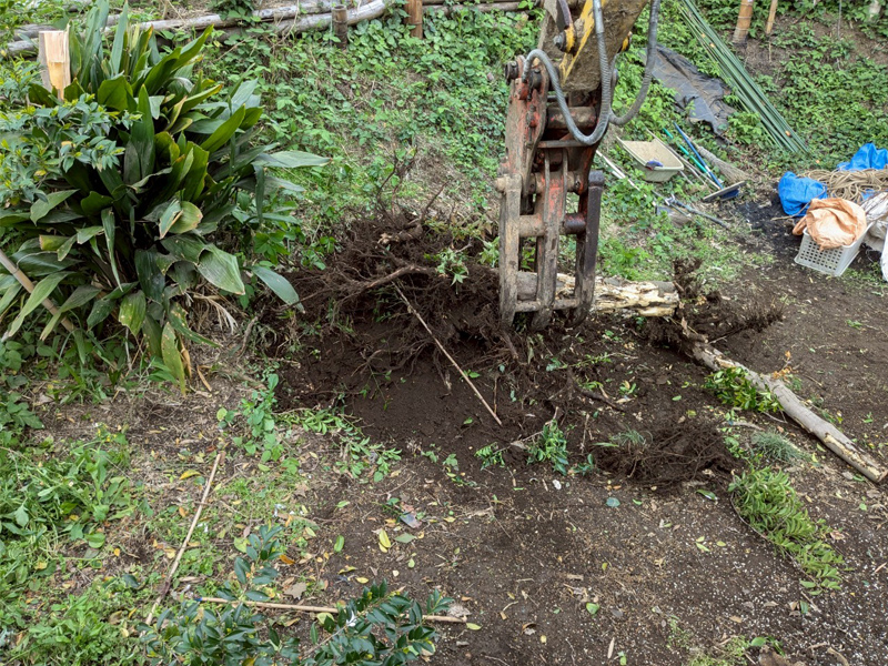樹木の伐採抜根