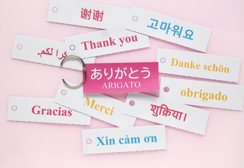 日本語・英語・スペイン語で対応可能